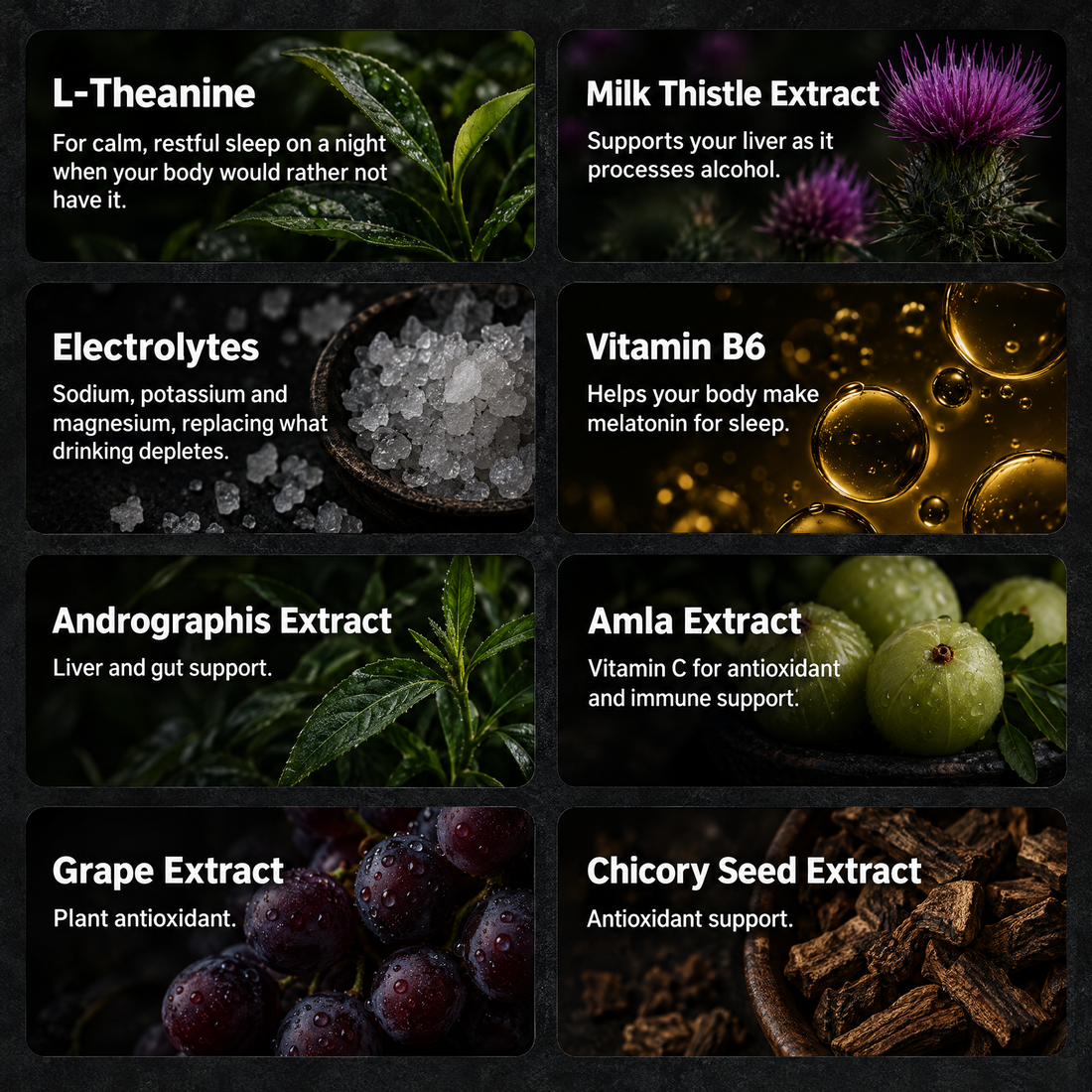 SYN ingredients: L-theanine, milk thistle, electrolytes, vitamin B6, andrographis, amla, grape and chicory seed extracts