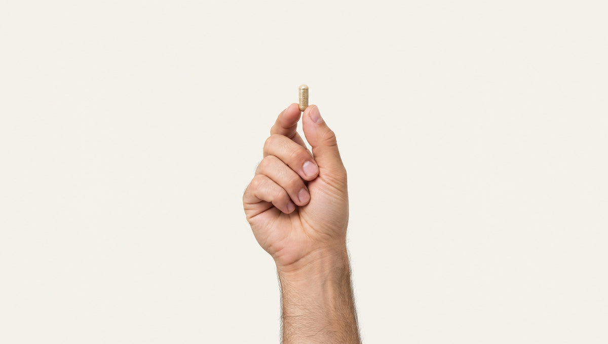 A hand holding a single SYN capsule